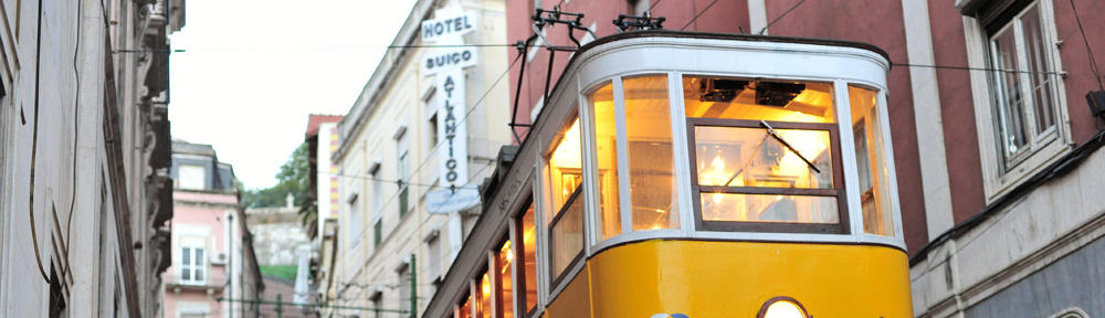 The Young Curmudgeon